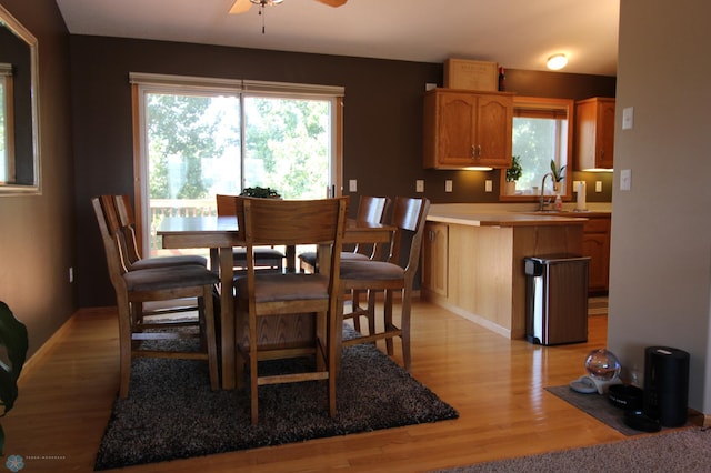 dining space with ceiling fan, light hardwood / wood-style flooring, sink, and a wealth of natural light