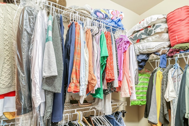 view of spacious closet