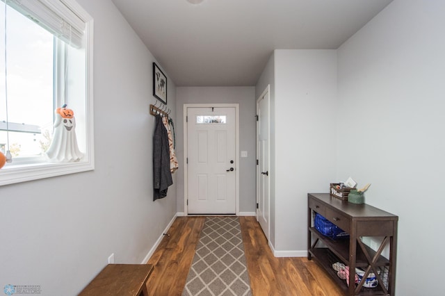 entryway with a wealth of natural light and hardwood / wood-style flooring