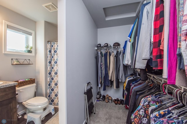 walk in closet featuring carpet flooring