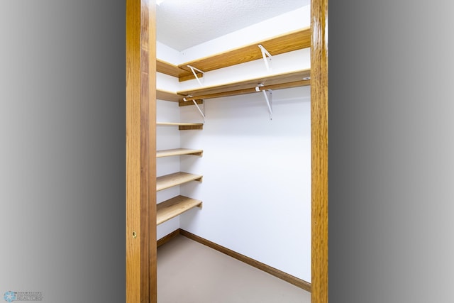 view of closet