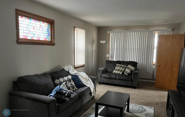 carpeted living room featuring a textured ceiling