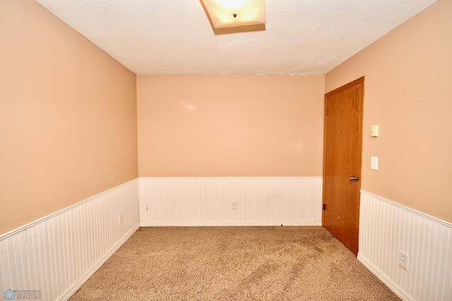 carpeted spare room featuring wooden walls and a textured ceiling