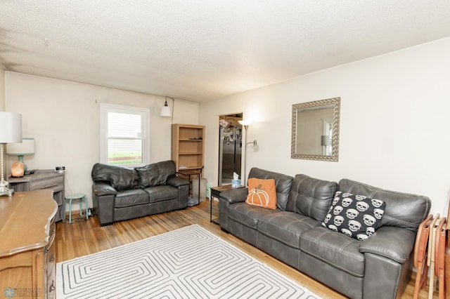 living room with light hardwood / wood-style floors and a textured ceiling