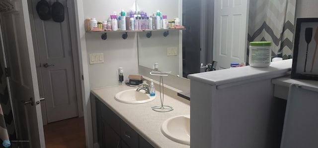 bathroom with vanity