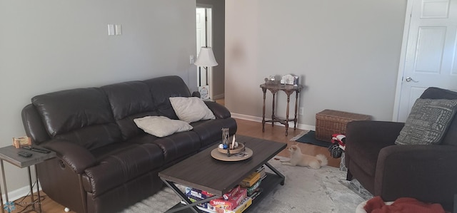 living room with wood-type flooring