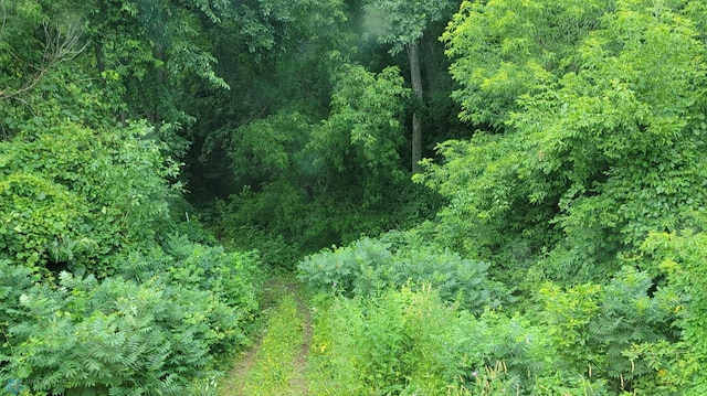 view of landscape