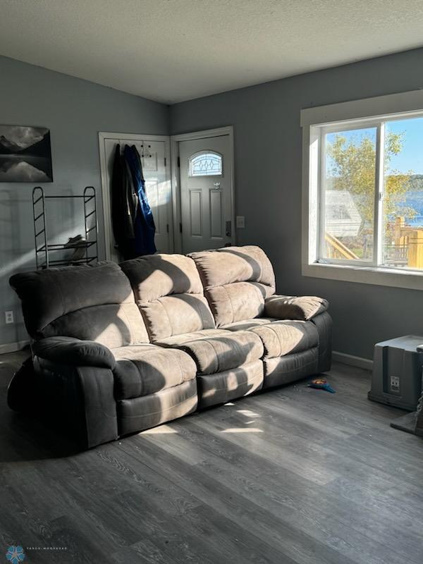 living room with a textured ceiling and hardwood / wood-style floors