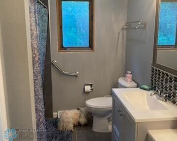 bathroom with vanity, toilet, and a shower with shower curtain