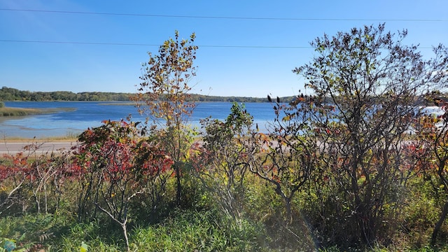 view of water feature