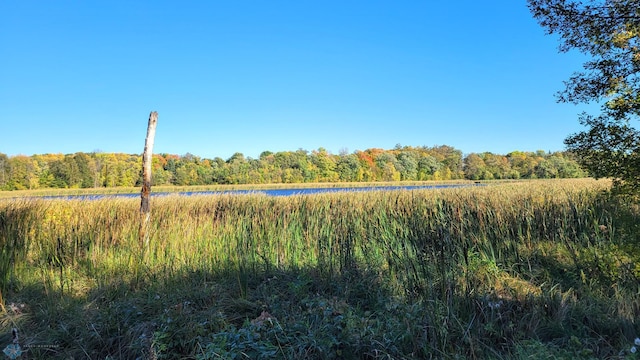 view of local wilderness