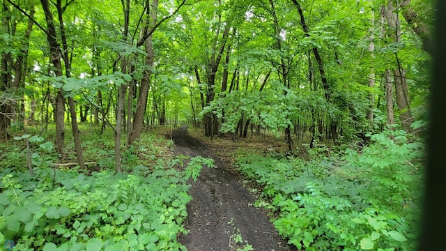 view of nature