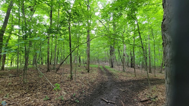 view of landscape