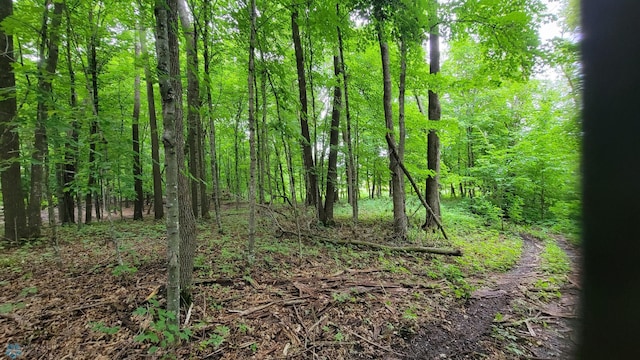 view of local wilderness