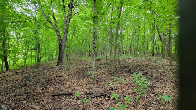 view of local wilderness