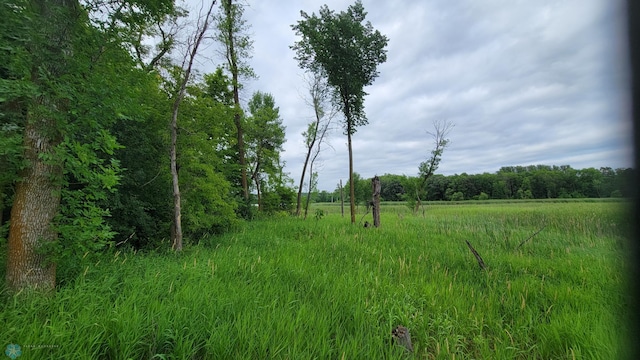 view of landscape