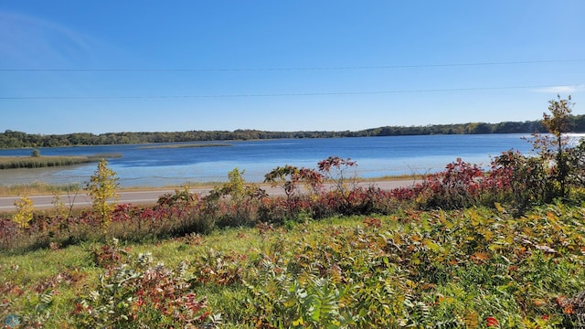 view of water feature