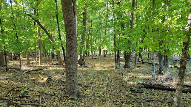 view of landscape