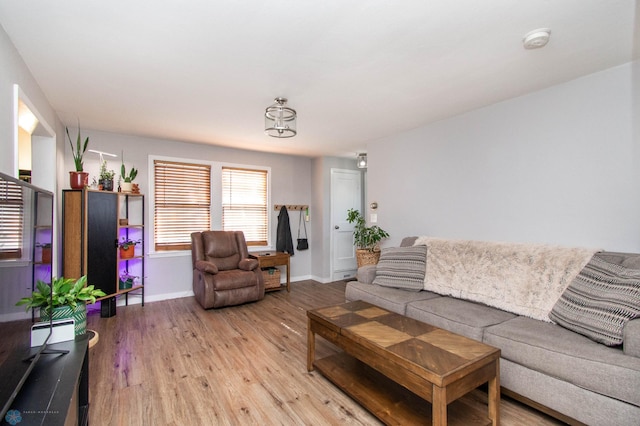 living room with light hardwood / wood-style flooring