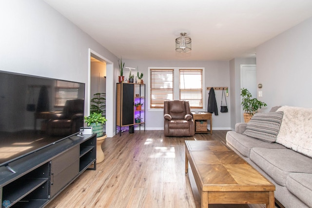 living room featuring light hardwood / wood-style flooring