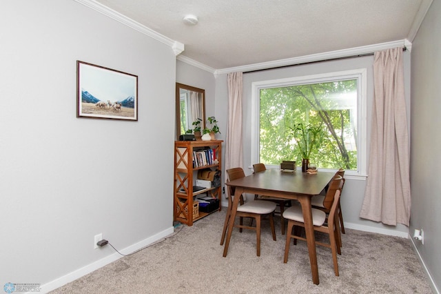 carpeted dining area with a textured ceiling and ornamental molding