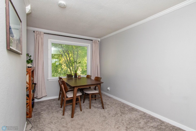 carpeted dining area featuring a textured ceiling and crown molding