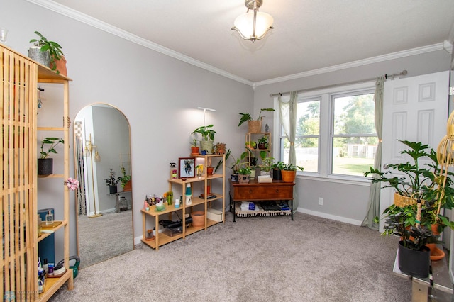 misc room featuring ornamental molding and carpet flooring