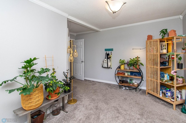 interior space featuring carpet floors and crown molding