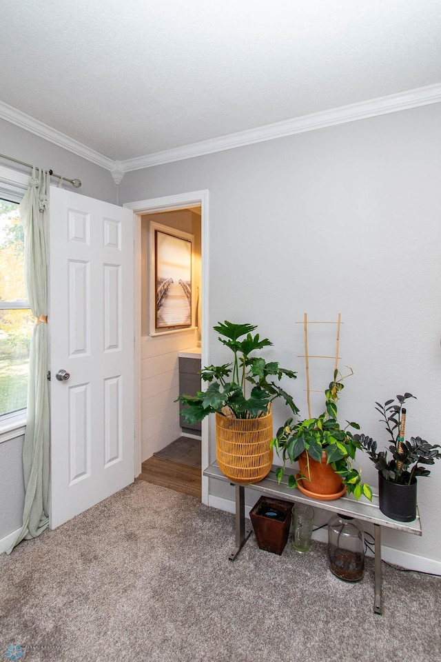 interior space with carpet floors and crown molding