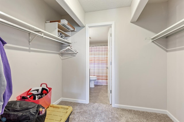 spacious closet featuring light colored carpet