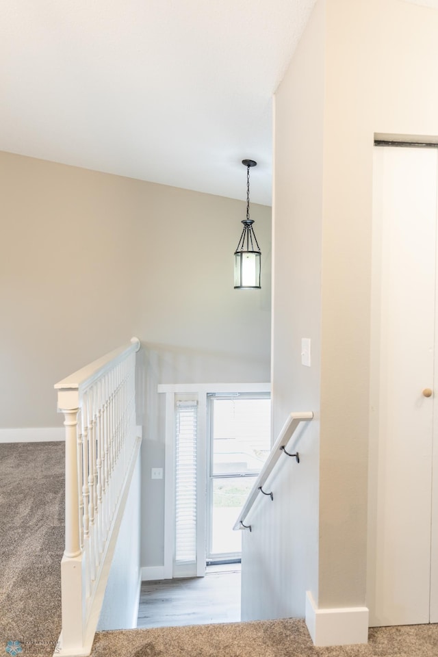 stairway with carpet