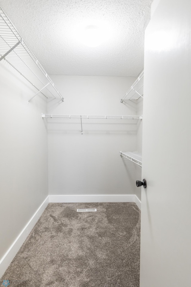 spacious closet with carpet flooring