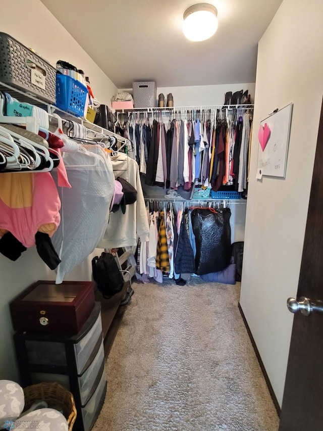 spacious closet with carpet flooring