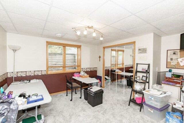 office featuring carpet, a healthy amount of sunlight, and a paneled ceiling