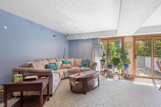 living room featuring a textured ceiling, carpet, and a wealth of natural light