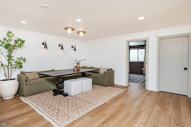 living room featuring light wood-type flooring