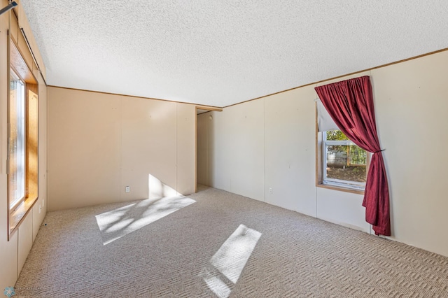 carpeted spare room with a textured ceiling