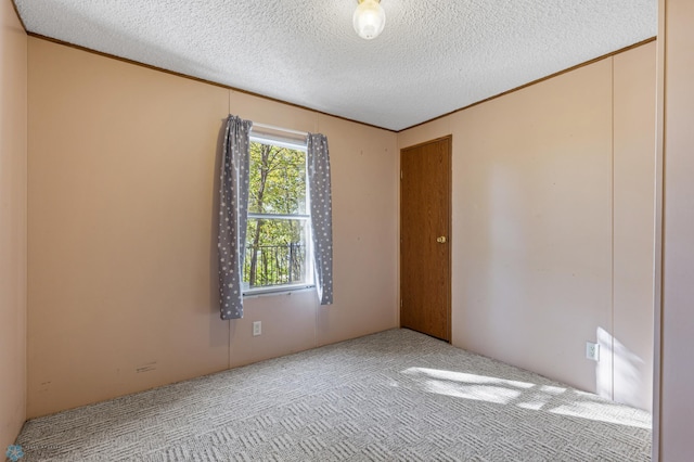 spare room featuring a textured ceiling and light colored carpet