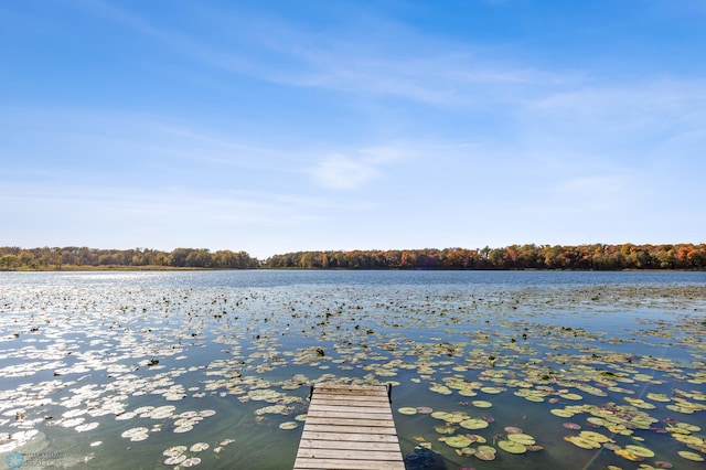 view of dock featuring a water view