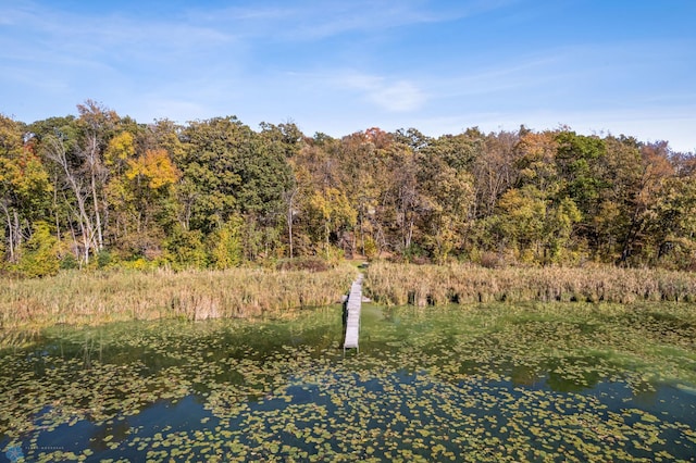 view of community with a water view