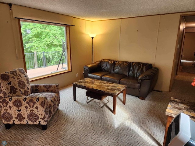 living room with a textured ceiling and carpet