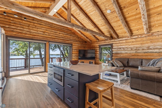 kitchen with a healthy amount of sunlight, stainless steel microwave, and dark hardwood / wood-style flooring