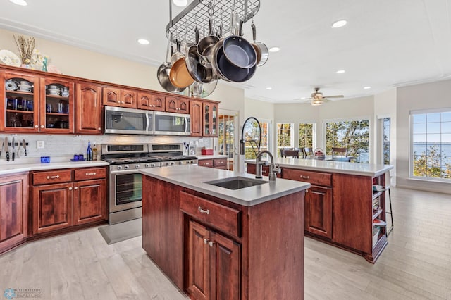 kitchen featuring light hardwood / wood-style flooring, stainless steel appliances, sink, and a center island with sink