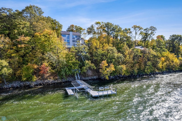 dock area featuring a water view