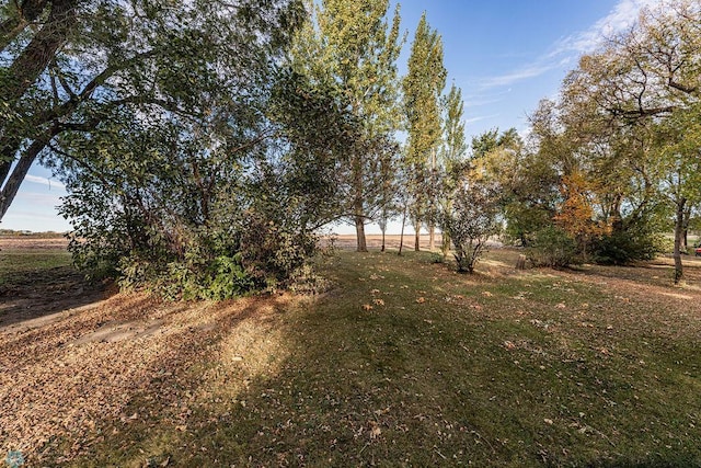 view of yard featuring a rural view