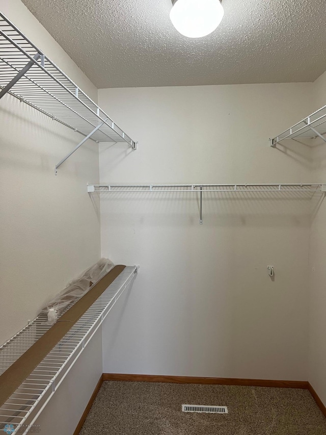 spacious closet featuring carpet