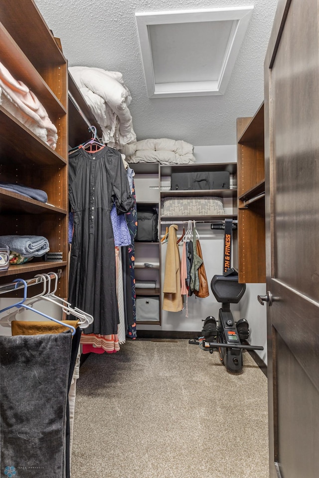 spacious closet featuring carpet flooring