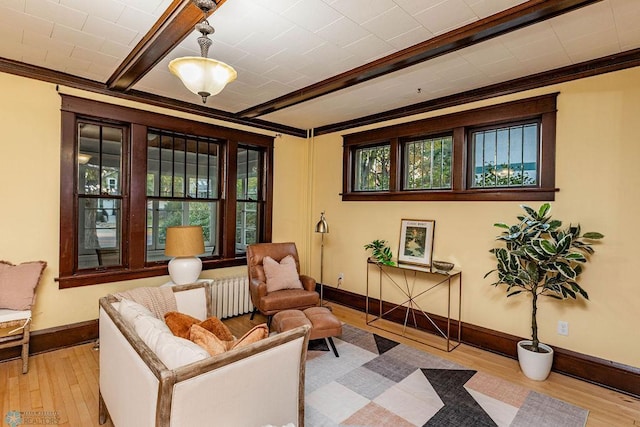 sitting room featuring radiator, light hardwood / wood-style flooring, plenty of natural light, and crown molding