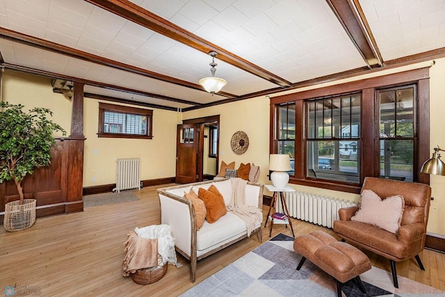 living room featuring beamed ceiling, light hardwood / wood-style flooring, and radiator heating unit