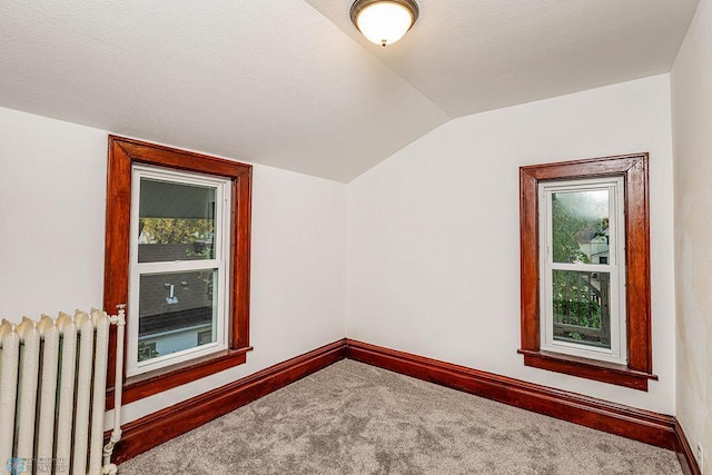 additional living space featuring vaulted ceiling, carpet, a textured ceiling, and radiator